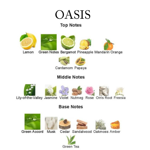 OASIS – A Timeless, Unisex Scent Inspired by CK One 100ML