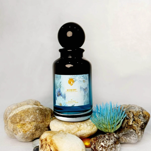 AccScent – Inspired by the Timeless Bleu de Chanel 100ML